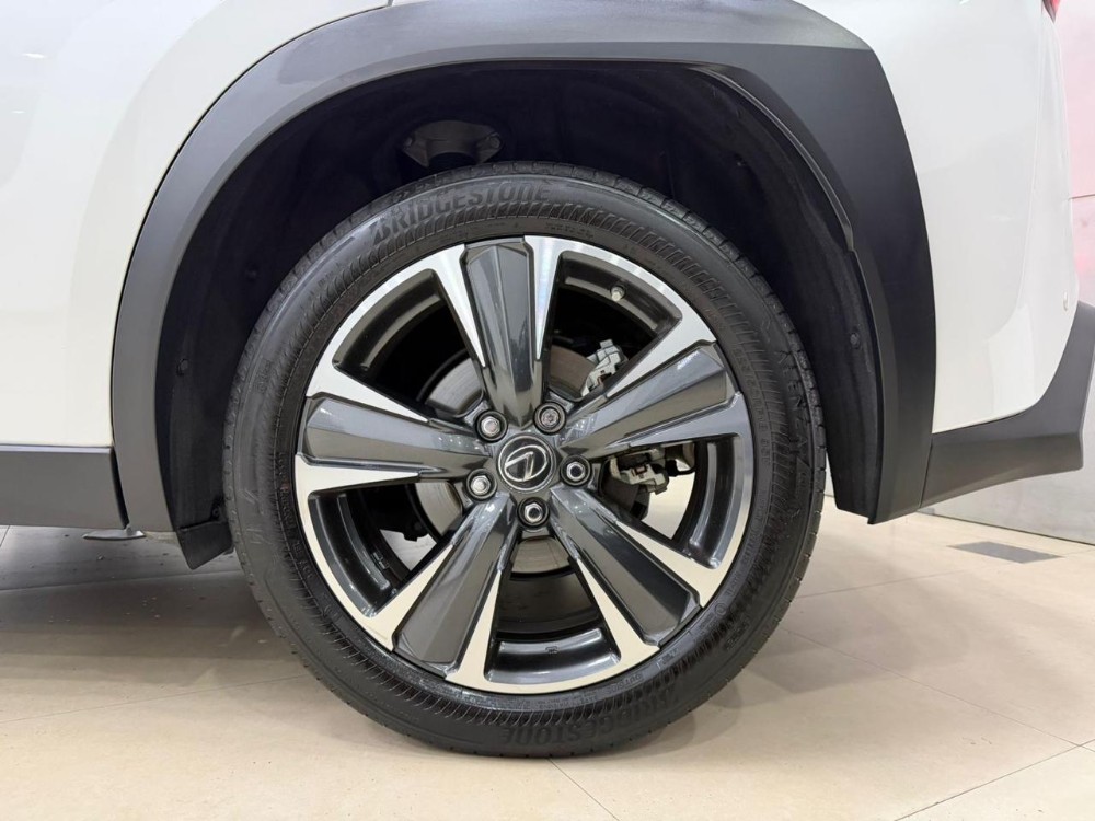 Lexus UX 5P 2,0 250h (lhd) — foto 8